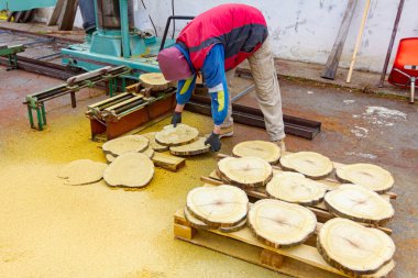 Marangoz bir paletin süslemesi için ince kesim ahşap yuvarlak parçalar, talaş her yerde.