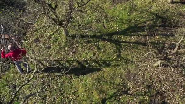 Boven Uitzicht Oudere Boer Tuinman Als Verplaatsen Lange Ladders Voor — Stockvideo