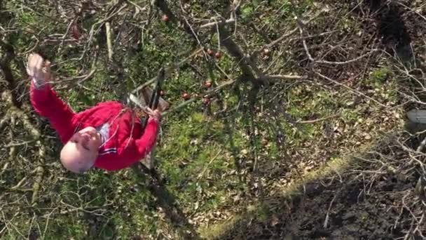 Bovenaanzicht Oudere Boer Tuinman Als Snoeitak Van Fruitbomen Met Lange — Stockvideo