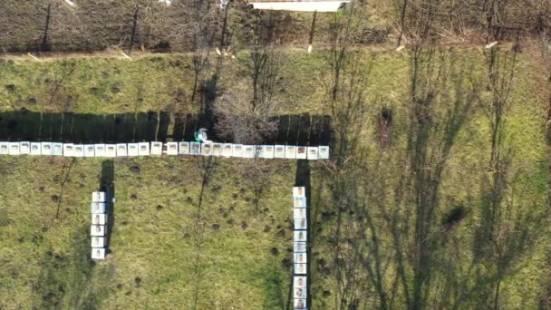 Luftaufnahme Eines Landwirts Schutzkleidung Der Obstbäume Obstgarten Mit Einem Langen — Stockvideo