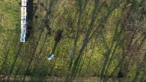 Pandangan Udara Atas Pada Petani Dalam Pakaian Pelindung Semprotan Buah — Stok Video