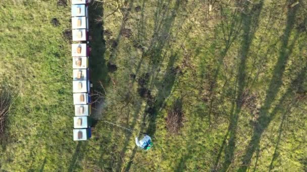 Aerial Top View Farmer Protective Clothing Sprays Fruit Trees Orchard — Stock Video