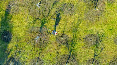 Üst katta, bahçıvan modern sprey makinesi kullanıyor, motor pompası ile, sırtına devam edin ve meyve bahçesini mantar hastalıklarından veya haşaratlardan korumak için sprey sıkın..
