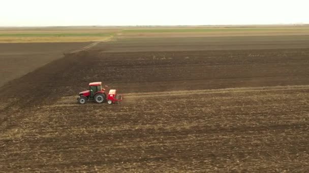 Tepede Traktörün Çekici Çekimini Tarla Toprak Yeni Buğday Ekimi Üzerine — Stok video