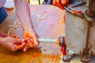 Sosis yapmak için domuz bağırsaklarını el yapımı sosislerle doldurun..