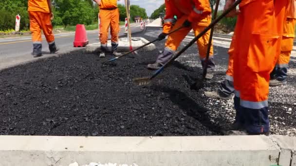 Çok Işçi Tırmığı Düzleştirmek Için Kullanıyor Doğru Ölçümlere Taze Asfalt — Stok video