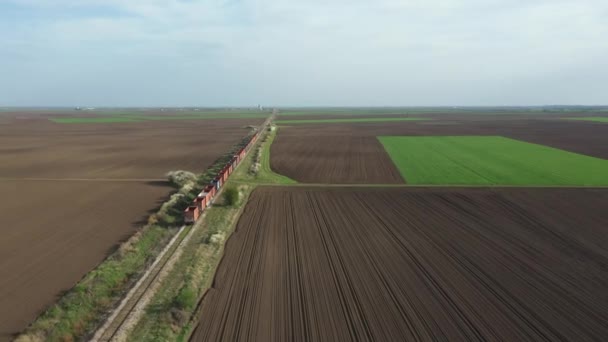 Letecký Pohled Dlouhé Skladby Nákladní Železniční Vlak Projíždějící Přes Zemědělská — Stock video