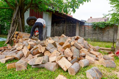 Oduncu, profesyonel testere kullanarak bahçedeki ağaç gövdelerini kesiyor ve onları kazığa fırlatıyor..