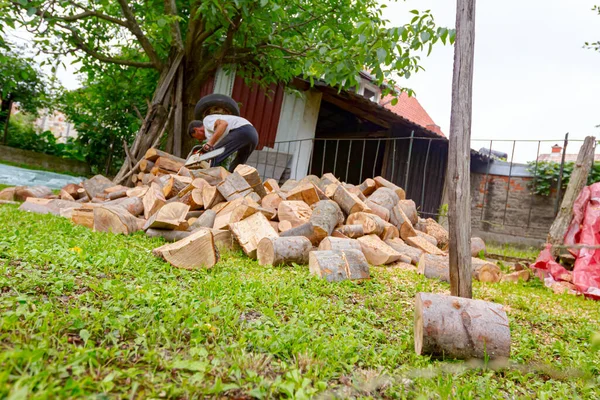 Lumberjack Hakt Boomstammen Tuin Met Behulp Van Professionele Kettingzaag Gooit — Stockfoto