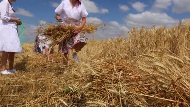 Музля Воеводина Сербия Июля 2021 Года Xxxviii Традиционно Урожай Пшеницы — стоковое видео