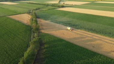 Hava kulesi, tarım hasatçısının görüntüsünü tarlalardaki olgun buğdayları kesip biçerken birleştirir..