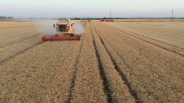 Hava kulesi tarla biçme makinesinin görüntüsünü tarlalarda olgun buğday kesip biçmek gibi birleştirir..