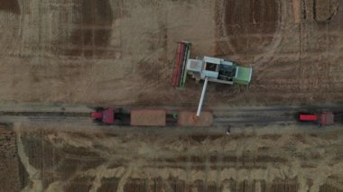 Zirai hasat makinesinden yapılan transmisyonun havadan görüntüsü, karavana birleşip, hasat edilen buğdayları boşaltıyor..