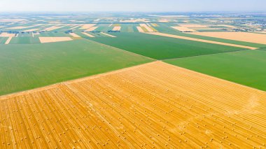 Tarımsal tarlalar, kırsal yollar, hasattan sonra tarımsal alanlarda saman balyaları arasında giden kırsal yolun üstünde, tarım yığını için hazırlanmış, çeşitli ekili araziler. 