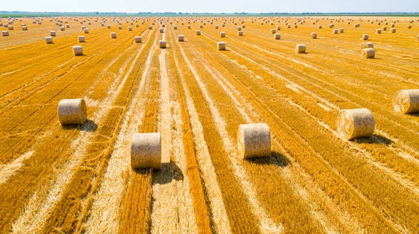 麦わらの丸い俵を持つ農業分野のビューの上に シリアル植物を収穫した後 農業スタックのために準備されています — ストック写真