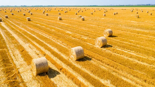 Por Encima Vista Del Campo Agrícola Con Fardos Redondos Paja — Foto de Stock