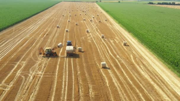 Blick Auf Bagger Als Beladung Von Strohballen Auf Anhänger Abschleppen — Stockvideo