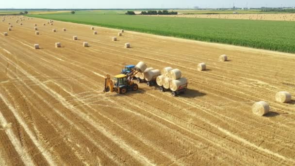 Von Oben Drehung Des Lastwagens Auf Bagger Als Beladung Von — Stockvideo