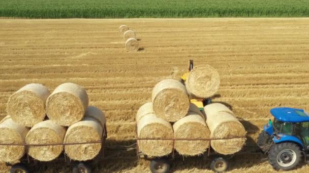 Kazıcının Üstünde Karavana Saman Balyaları Yüklerken Tarla Arazisinde Traktörle Çekilirken — Stok video