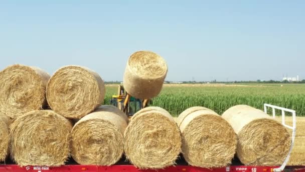 Blick Auf Bagger Als Beladung Von Strohballen Auf Anhänger Abschleppen — Stockvideo