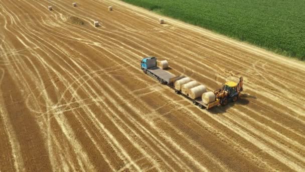 Kazıcının Üzerinde Karavana Saman Balyaları Yüklerken Tarla Arazisinde Forklift Bıçağı — Stok video