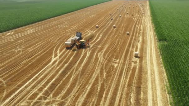 View Excavator Loading Straw Bales Trailer Tow Truck Farmland Using — Stock Video