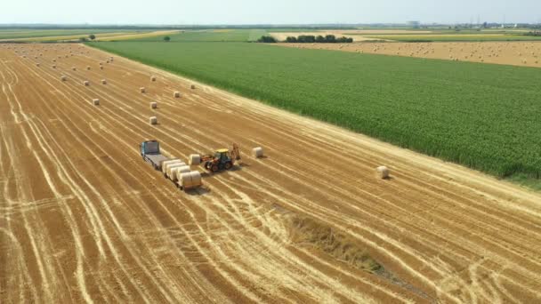 Vista Superior Excavadora Como Fardos Paja Carga Remolque Remolque Camión — Vídeo de stock