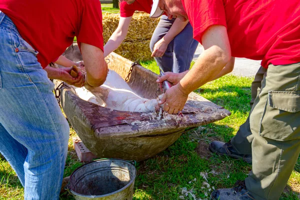 Les Bouchers Utilisent Des Outils Cônes Pour Enlever Les Poils — Photo