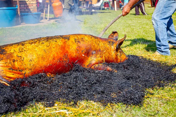 肉屋は野外の肉屋の豚の皮から髪を除去するための藁の山を燃やしている — ストック写真