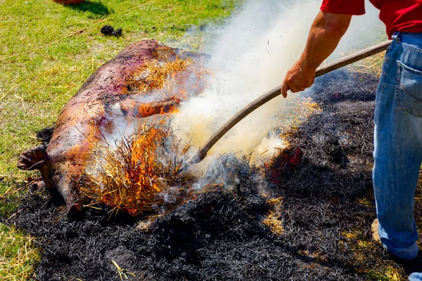 肉屋は野外の肉屋の豚の皮から髪を除去するための藁の山を燃やしている — ストック写真