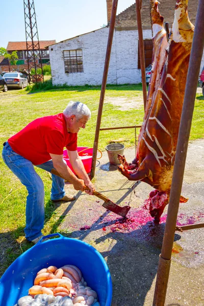 アラダック ヴォイヴォディナ セルビア2016年5月21日 肉屋は長い木製のハンドルを持つ鋭い肉チョッパーを使用し 金属製の建設にかかっている生の豚の胸部を切断しています — ストック写真