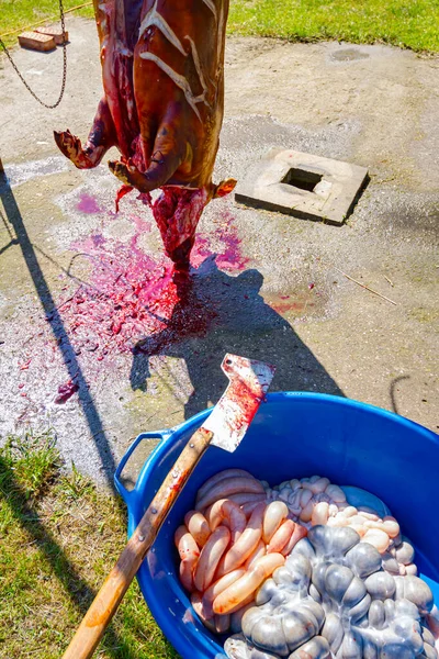 肉処理を屋外の肉屋でプラスチック製のボウルに置かれた肉を切るための血まみれの斧 — ストック写真