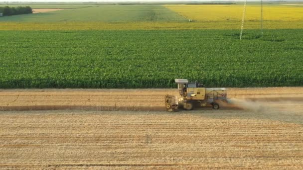 Luchtfoto Dolly Verplaatsen Uitzicht Landbouw Oud Geel Combineren Oogstmachine Als — Stockvideo