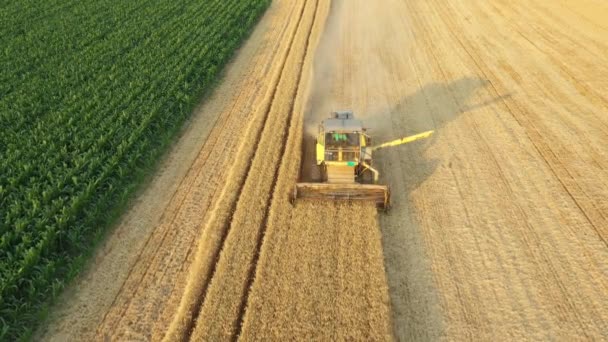 Luchtfoto Dolly Bewegen Achterwaartse Zicht Van Landbouw Oud Geel Combineren — Stockvideo