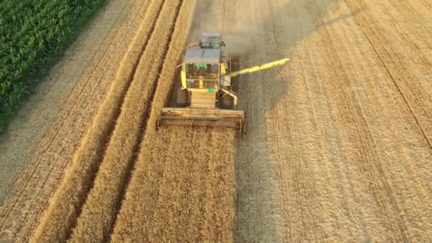 Poulie Aérienne Déplaçant Vers Arrière Avec Vue Inclinable Agriculture Vieille — Video