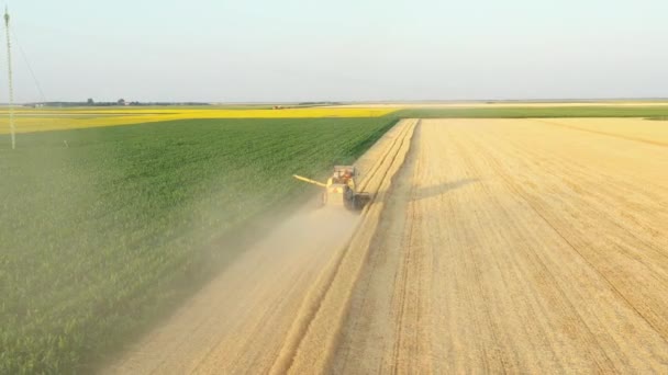 Yörünge Kulesi Tarım Eski Sarı Tarlaların Görüntüsünü Tarlalarda Yetişmiş Buğdayları — Stok video
