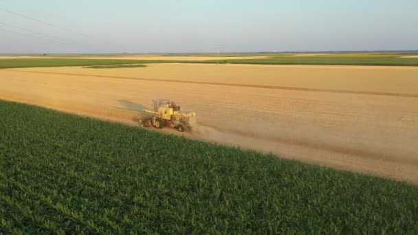 Yörünge Kulesi Tarım Eski Sarı Tarlaların Görüntüsünü Tarlalarda Yetişmiş Buğdayları — Stok video