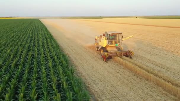 Órbita Aérea Boneca Move Visão Colheitadeira Agrícola Amarela Velha Como — Vídeo de Stock