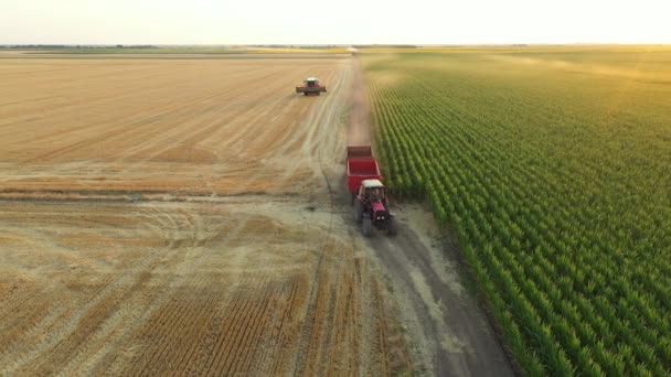Nad Pohledem Traktor Vleče Dva Zemědělské Přívěsy Projíždí Venkovskou Prašnou — Stock video