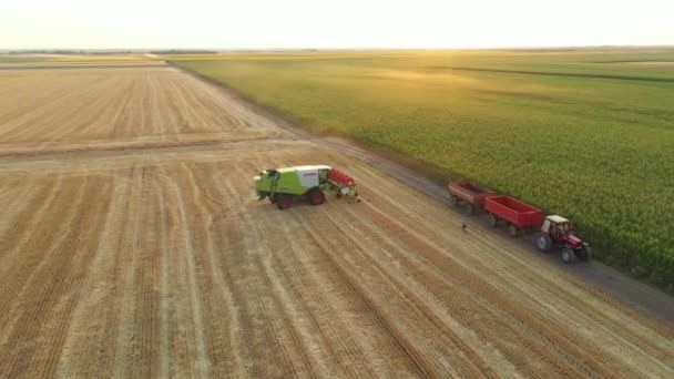 Boven Dolly Baan Bewegen Schot Van Werknemer Als Hij Het — Stockvideo