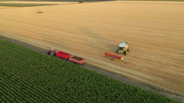 Sopra Dolly Orbita Mossa Colpo Lavoratore Mentre Rimuove Gli Avanzi — Video Stock