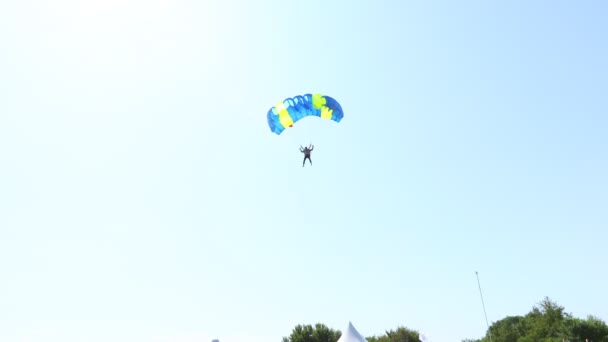 National Parachuting Championship Parachutist Slows Accurate Landing Target Place Skydiving — Stock Video