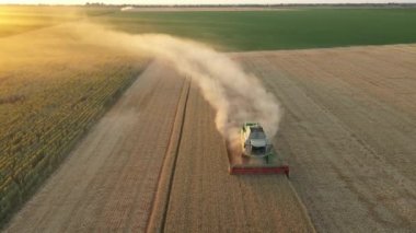 Hava kulesi geriye doğru hareket ediyor, tarımsal biçerdöveri görüyor, tarlalarda olgun buğday kesip biçerken birleşiyor..