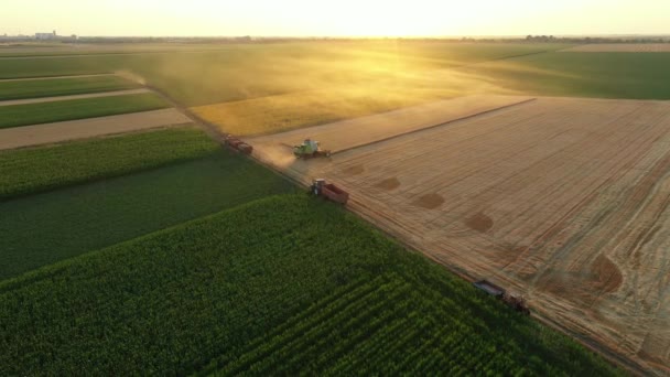 공중에서 궤도를 돌면서 수확기를 곡식을 수확하는 밭에서 자르고 수확하는 모습이 — 비디오