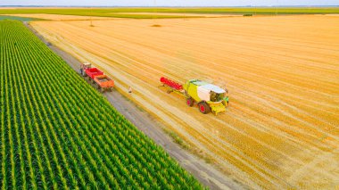 Bitkilerden arta kalanları kaldırırken ve tarım makinesinin başlığını kamu trafiğinde seyahat için hazırlarken işçi görüşünün üzerinde.