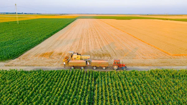 Pemandangan Udara Tentang Pemindahan Dari Pertanian Pemanen Tua Berwarna Kuning — Stok Foto