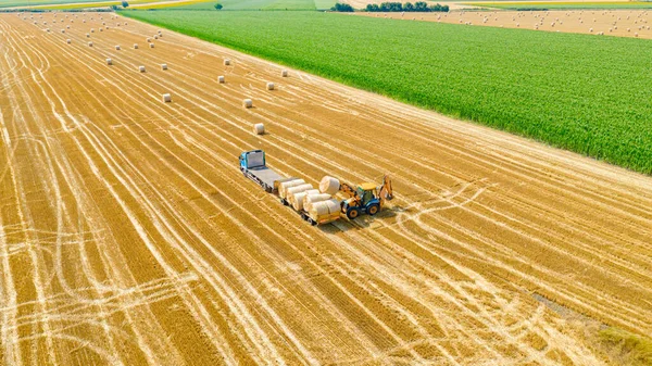 View Excavator Loading Straw Bales Trailer Tow Truck Farmland Using — Stock Photo, Image