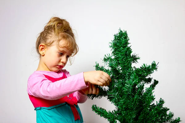 Preschooler Female Kid Child Girl Assembly Plastic Evergreen Pine Tree — Stock Photo, Image