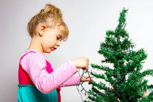Preschooler Female Kid Child Girl Assembly Plastic Evergreen Pine Tree — Stock Photo, Image