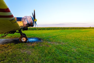 Vintage pervane uçaklar